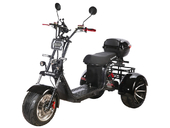 Электротрицикл SKYBOARD TRIKE BR60-3000 PRO - Фото 2