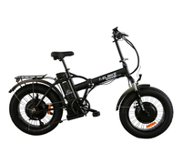 Elbike Taiga 3 Twix