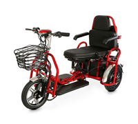 Elbike Адъютант Double Twix A4