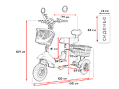 Электротрицикл TRION Partner NOVA - Фото 26